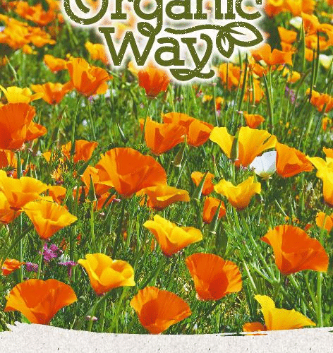 POPPY CALIFORNIAN POPPY CALIFORNIAN