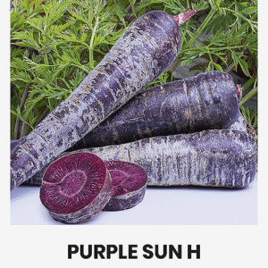 Puutarhan täyslannoite 1 kg