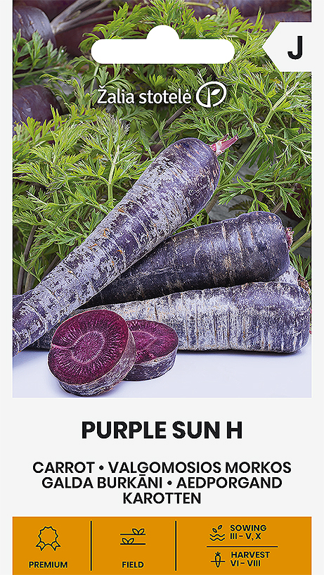 PORGAND PURPLE SUN H