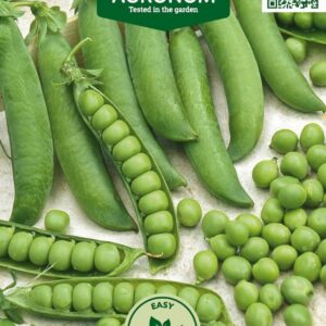 WRINLED PEA BULLSEYE