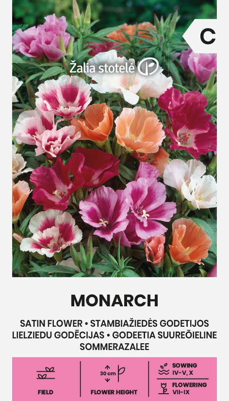 suureõieline sametlill monarch suureõieline sametlill monarch