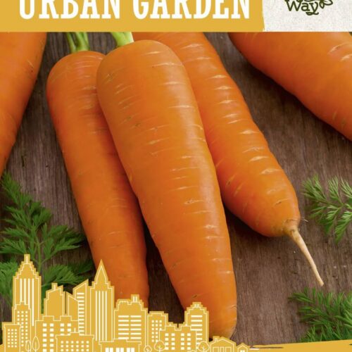 CARROT KATRIN CARROT KATRIN