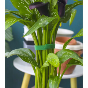 Липучка для крепления растений, томатов и цветов