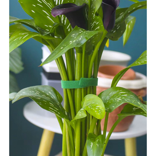 Липучка для крепления растений, томатов и цветов