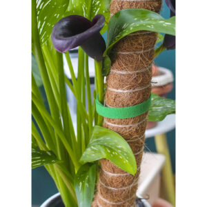 Липучка для крепления растений, томатов и цветов