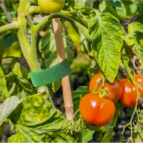 Липучка для крепления растений, томатов и цветов
