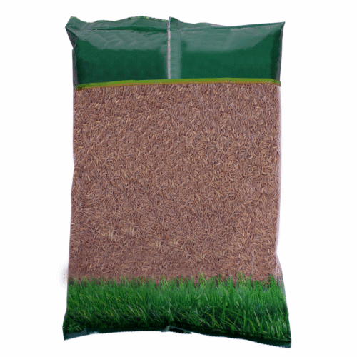 MEADOW GRASS BALIN MEADOW GRASS BALIN