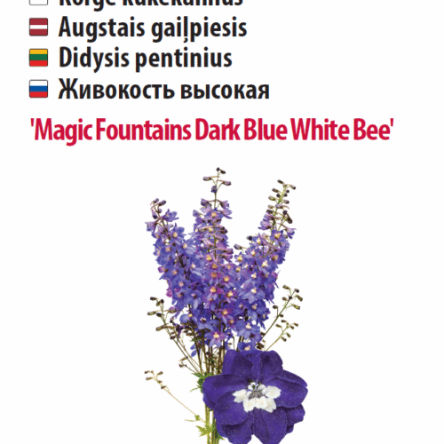 Kukekannus 'Magic Fountains Dark Blue White Bee' 5s Kukekannus 'Magic Fountains Dark Blue White Bee' 5s