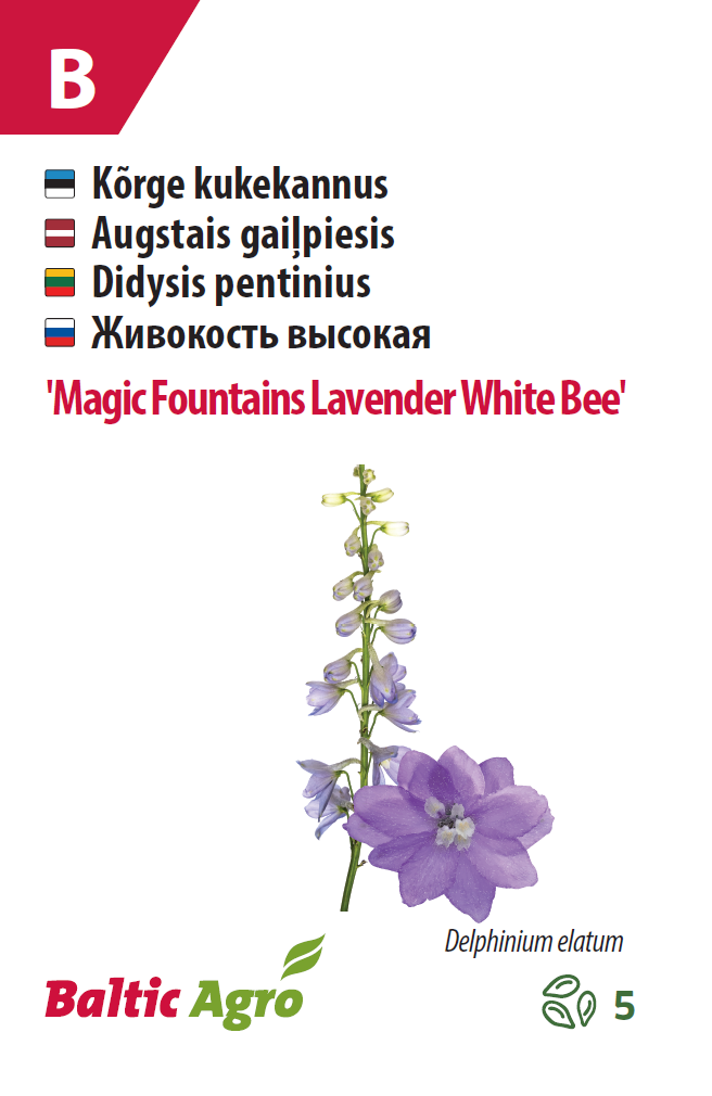 Kukekannus 'Magic Fountains Lavender White Bee' 5s