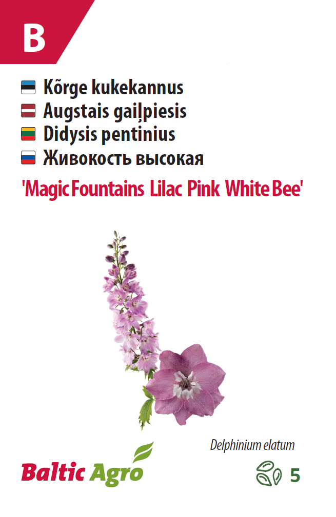 Kukekannus 'Magic Fountains Lilac Pink White Bee' 5s