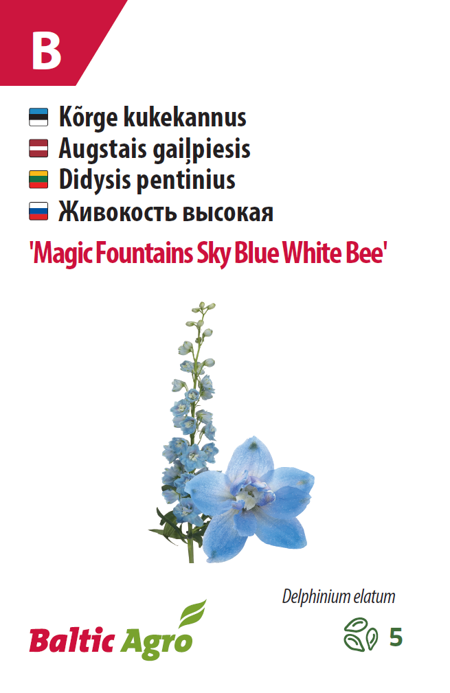 Kukekannus 'Magic Fountains Sky Blue White Bee' 5s