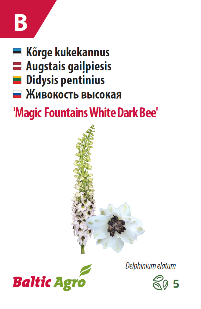 Kukekannus 'Magic Fountains White Dark Bee' 5s