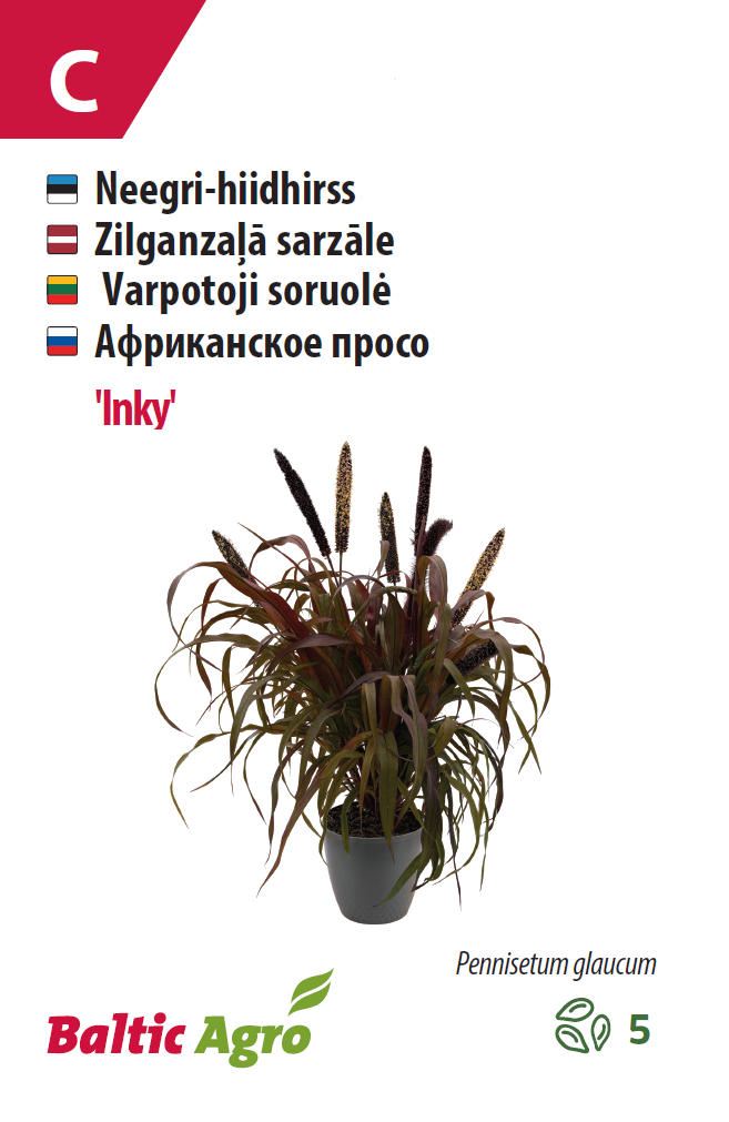Африканское просо 'Inky' 5с