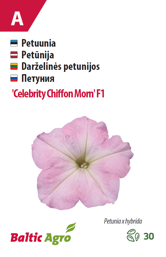 Petuunia 'Celebrity Chiffon Morn' F1 30 pilli