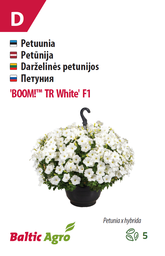 Petuunia 'BOOM!™ TR White' F1 5 pilli, ripp-petuunia Petuunia 'BOOM!™ TR White' F1 5 pilli, ripp-petuunia