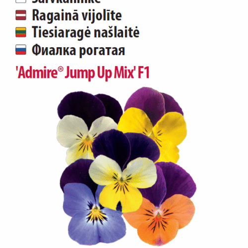 Sarvkannike 'Admire® Jump Up' F1 20s