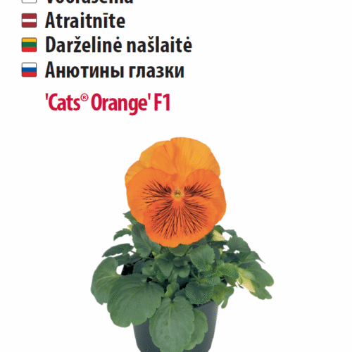 Анютины глазки 'Cats® Orange' F1 10 семян