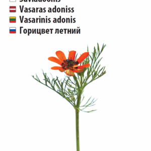 Affordable phosphorus fertilizer, Superphosphate 4kg, potato fertilizer, autumn fertilizer for fruit trees, garden fertilizers sale