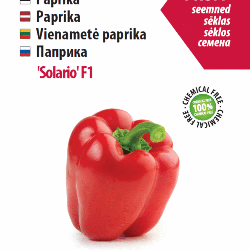 Bell Pepper Solario F1, 6 Seeds Bell Pepper Solario F1, 6 seeds
