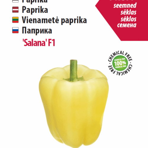 Bell Pepper Salana F1, 6 Seeds Bell Pepper Salana F1, 6 seeds