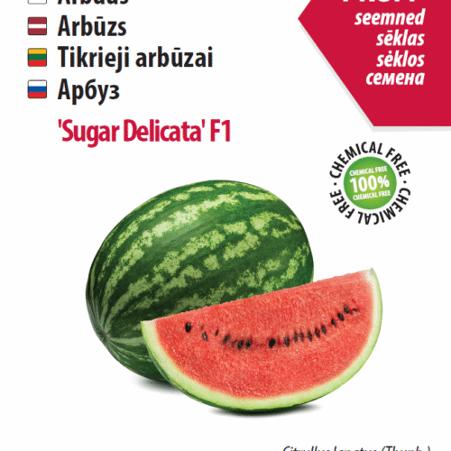 Arbuus 'Sugar Delicata' F1, 5s