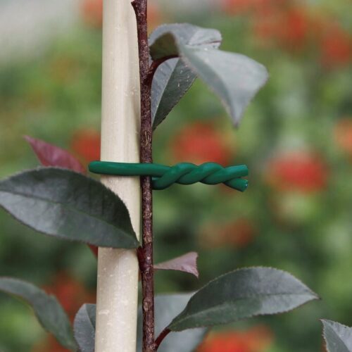 Biflex 3,5mm,õrnade taimede sidumine,tomatite kinnitamine,aiastraat,pehme aiandustraat