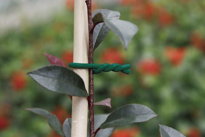 Biflex 3,5 мм, подвязка нежных растений, крепление томатов, садовая проволока, мягкая садовая проволока