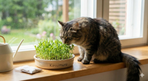 gemini generated image bal7yhbal7yhbal7