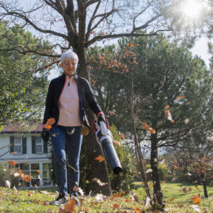 Akupuhur CASTELLARI RY30G Turbo 36V