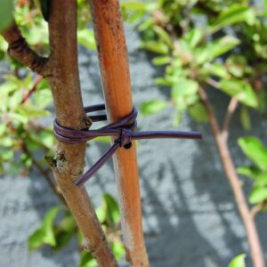 Sidontakumi Tubefix 40 m ruskea Putkikiinnityskumi Tubefix 40 m ruskea