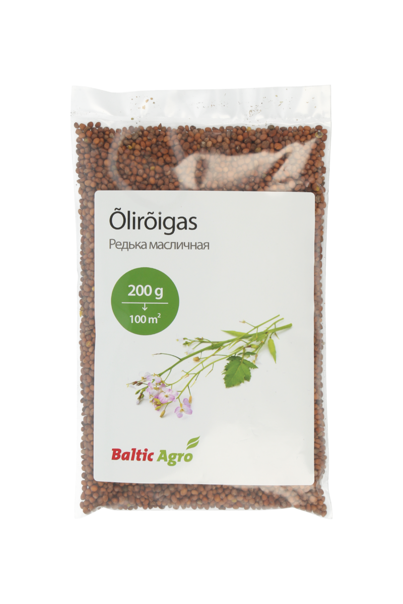 Õlirõigas 200 g oilseed radish, cover crops, green manure, soil structure improvement, brassica cover crops, sowing oilseed radish