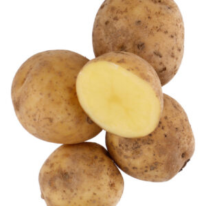 Jõgeva Kollane seed potato 25 kg