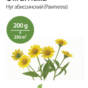 Aleksandria ristik 300g