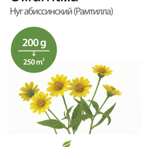 Õliramtilla 200 g õliramtilla,nigeri seemned,korvõielised vahekultuurid,fosfori omastamine mullas,meetaimed,linnutoit vintidele,põuataluv haljasväetis