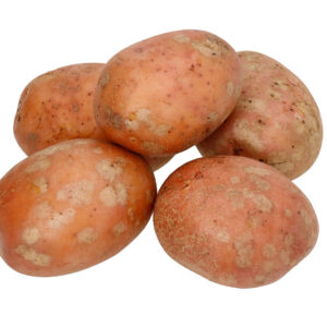 Laura seed potatoes 2.5kg