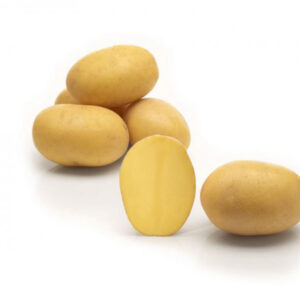 Lilly Seed Potatoes 2.5kg