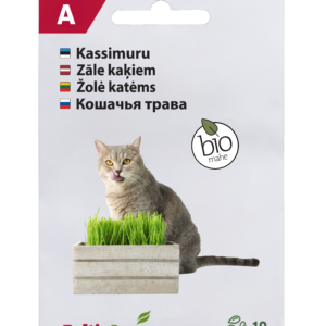 Kissanruohon siemenet Agrozone-verkkokaupassa