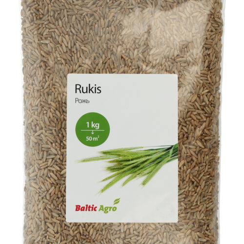 рожь как сидерат, семена озимой ржи, улучшение почвы, промежуточные культуры, экологическое садоводство