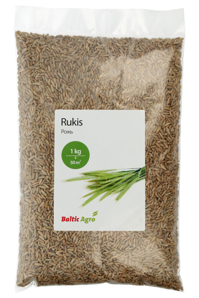 рожь как сидерат, семена озимой ржи, улучшение почвы, промежуточные культуры, экологическое садоводство