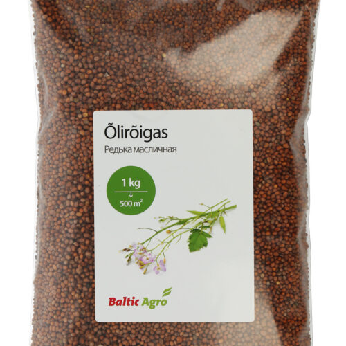 семена редьки масличной, редька масличная сидерат, природная борьба с вредителями, сидераты, дезинфекция почвы