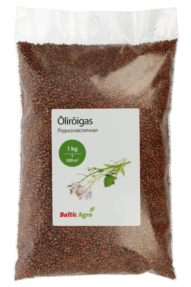 Редька масличная 1 кг семена редьки масличной, редька масличная сидерат, природная борьба с вредителями, сидераты, дезинфекция почвы