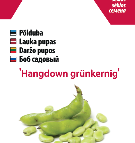 Põlduba Hangdown,põldoa seemned,saagikas põlduba,keskvarane põlduba,põldoa kasvatamine,Agrozone seemned,millal külvata põlduba,saagikas keskvarane põlduba