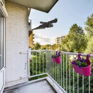 realistlik linnuhirmutis,looduslik linnupeletaja,tuvide tõrje rõdul,öko kahjuritõrje