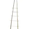 Taimeredel bambus 2 haru 5 astet 150 cm kõrgus