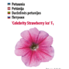 Roosa petuunia 'Celebrity Strawberry Ice' seemned.