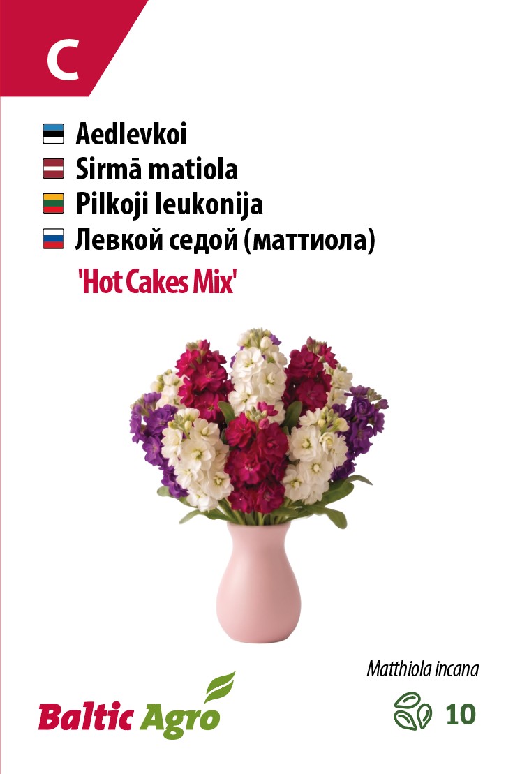 душистый садовый левкой,разноцветный левкой,низкорослые цветы на срезку,ароматерапия в саду,однолетние летние цветы
