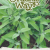 Aedsalvei seemnete pakend pealkirjaga Organic Way Garden Sage