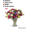 Aster ‘Fan’