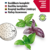 Basiilikute seemnekomplekt