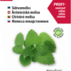 Sidrunmeliss